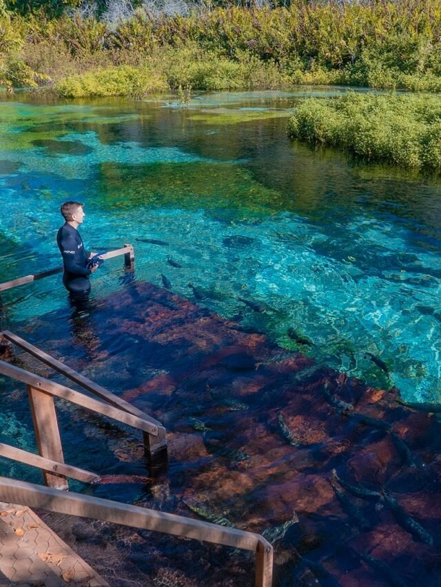 Rio Sucuri Bonito/MS